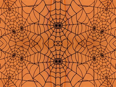 View in gallery gigantic halloween spider web view in gallery halloween diy giant lawn spiderwebs view in gallery diy spider web halloween decorations Spider Web Background ·① WallpaperTag