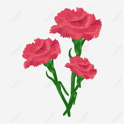 Clipart Flowers Carnation