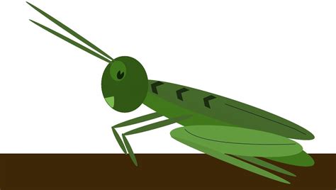 Free Cricket Insect Cartoon Download Free Cricket Insect Cartoon Png