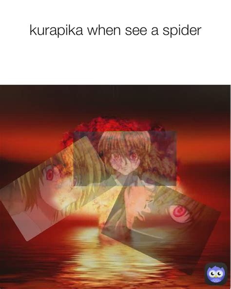 kurapika when see a spider animeme fuuuuny memes