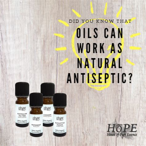 Did You Know That Oils Can Work As A Natural Antiseptic With Images