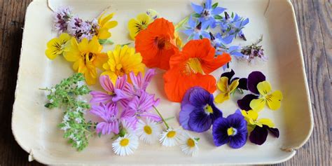 Edible Flower Recipes Tulips Roses And Herbs Great British Chefs