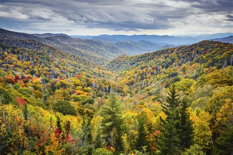 The 5 Best Hikes In The Great Smoky Mountains