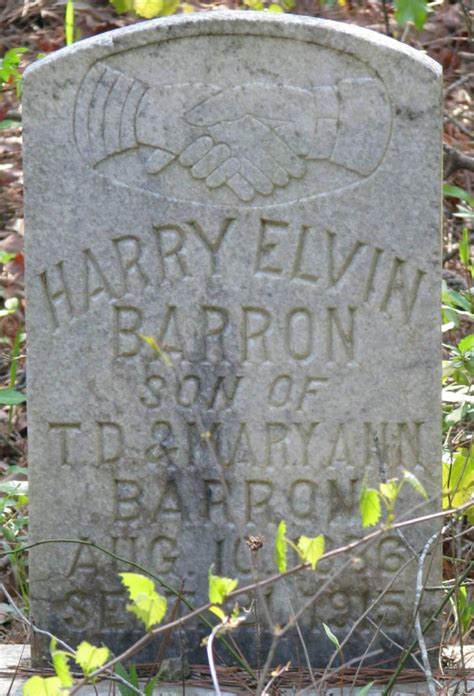 Check spelling or type a new query. ChazzCreations - Barron Family Connection The Barons/Barrons, or Fitzgeralds, of Burnchurch Vida ...
