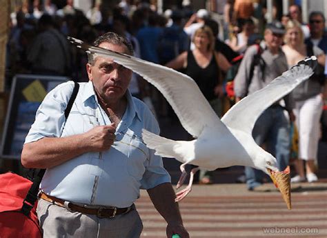 25 Best Perfectly Timed Photos For Your Inspiration