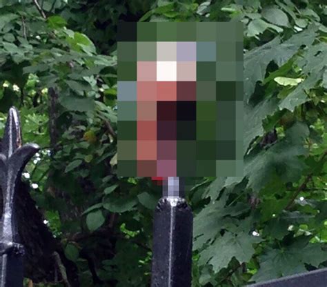 Man S Penis Ripped Off When He Tried To Climb Over Fence With Metal Spikes Metro News