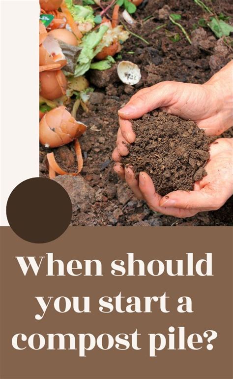 What to do after dermaplaning at home. When Do You Start a Compost Pile? | Compost, How to make ...