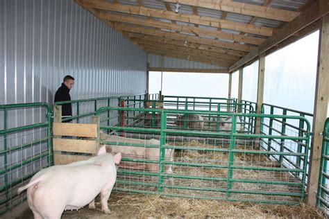 Pig Barn Layout