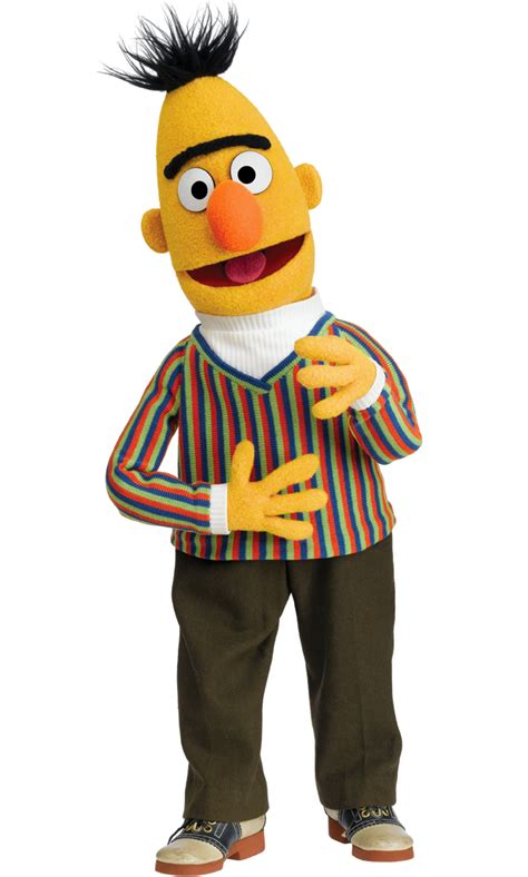 Bert Sesame Street Face