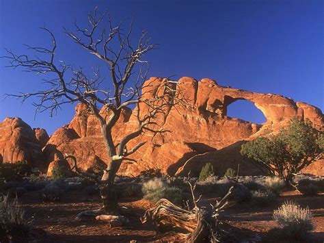 Free Download Vol5 Worldwide Natural Landscapes Photography Arid Desert
