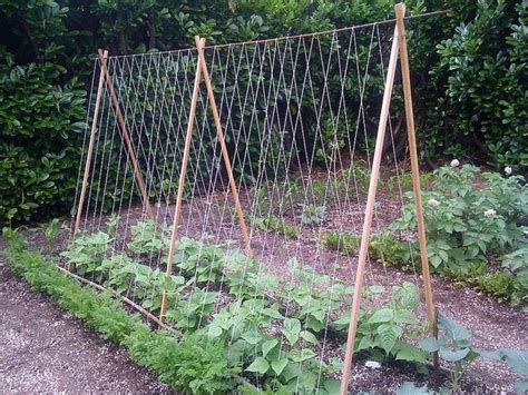 How To Make A Tomato Trellis Diy Garden Tips