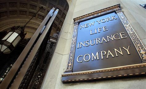 Erie insurance company of new york. Top New York life insurance providers - MaDailyLife