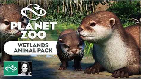 Planet Zoo Wetlands Animal Pack Complete Overview Of All Animals