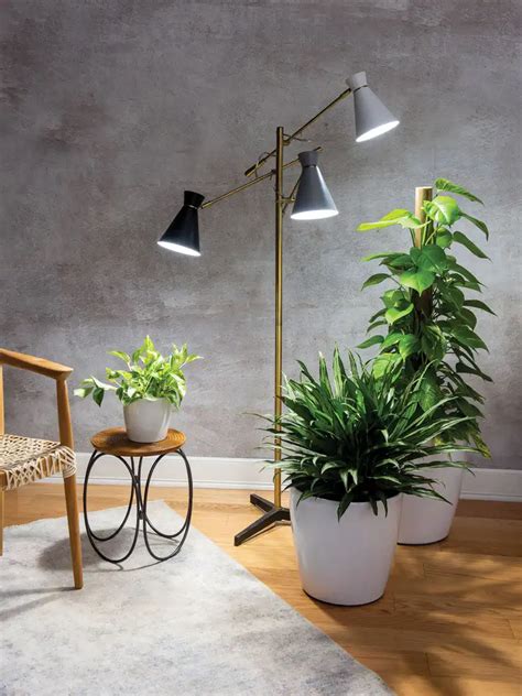 3 Arm Floor Lamp For Plants Gardeners Supply Grow Lamps Indoor