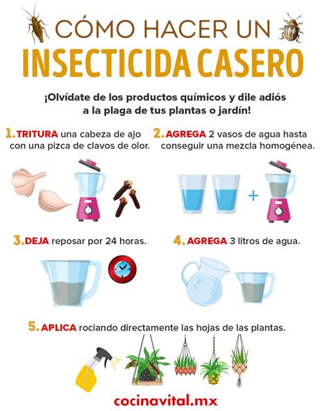 Insecticidas Caseros Para Eliminar La Plaga De Tus Plantas Cocina