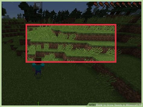 Maybe you would like to learn more about one of these? How to Grow Seeds in Minecraft PE: 12 Steps (with Pictures)