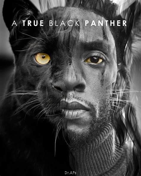 Black Panther Rip Wallpaper
