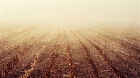 Dawn Fields Fog Free Photo On Pixabay Pixabay