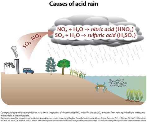 What Causes Acid Rain