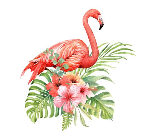 Acuarela Flamingo En Elementos De Ramo Tropical 669975 Vector En Vecteezy