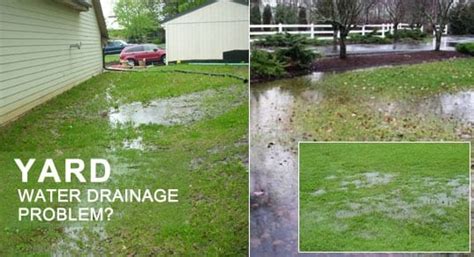 How To Fix A Wet Backyard Backyard Ideas