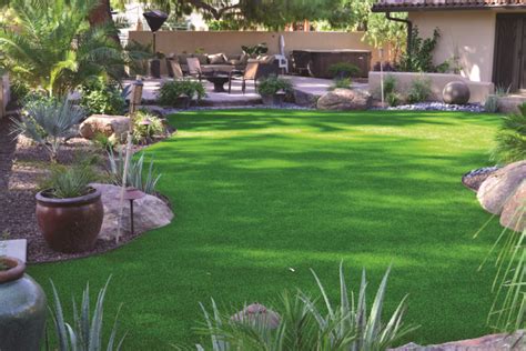 The Ultimate Guide To Natural Grass Lawn Alternatives Turf Factory