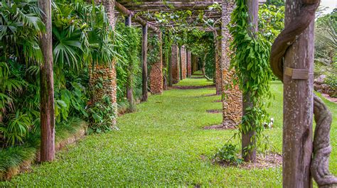 Fairchild Tropical Botanical Gardens The Survival Gardener