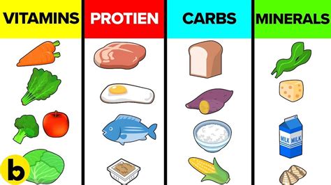 How The Six Basic Nutrients Affect Your Body B12 Deficiency Symptoms