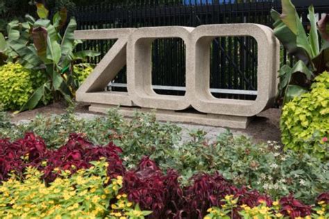 9 Fun Facts About The Smithsonian S National Zoo Everyday Wanderer Vrogue