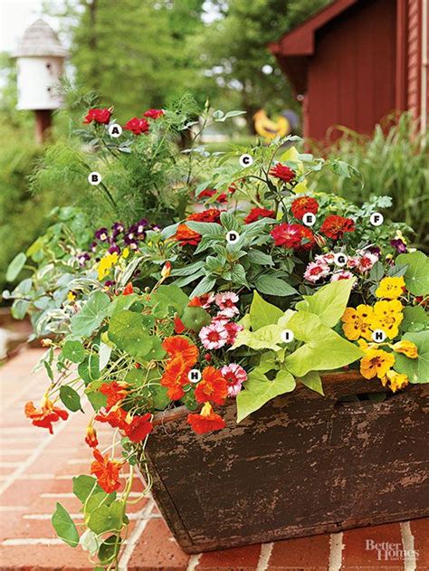 Containers Without The Guesswork Salad Container Garden Container