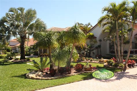 Front Yard Landscape - Tropical - Landscape - Miami - by Broward Landscape, Inc.