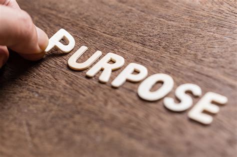 Does your Brand's Purpose Marketing have impact? | XPLAIN