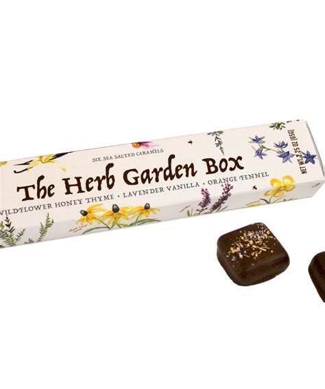 Mecha Chocolate Herb Garden Box Unique Gourmet Chocolates