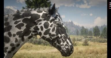 Realistic Leopard Appaloosas At Red Dead Redemption Nexus Mods And Community