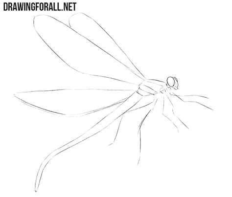 How To Draw A Dragonfly