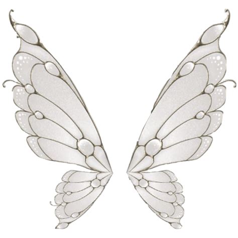 Two White Wings On A White Background