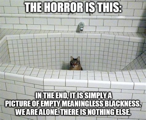 Nihilist Empty Bath Cat Memes Imgflip
