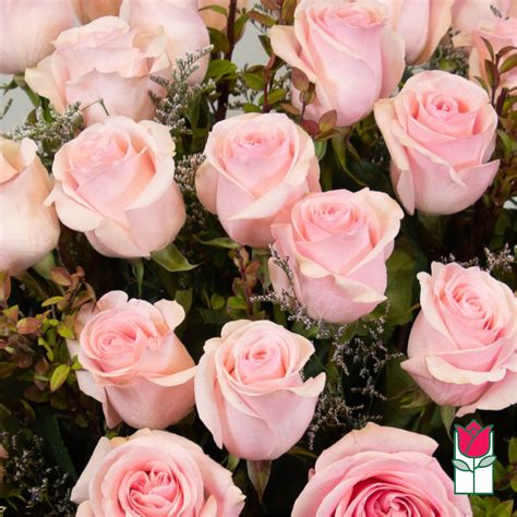 Beretanias 3 Doz Extra Long Stem Pink Rose Bouquet Pink Hue May Vary