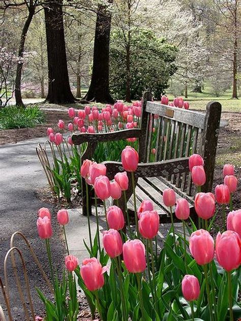 24 Wonderful Tulips Arrangement Tips For Your Home Garden Ideas Page