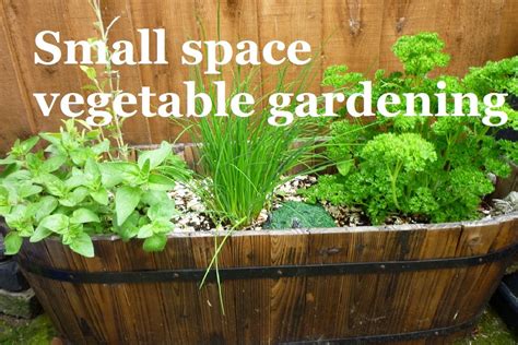 Small Space Vegetable Gardening A Series About