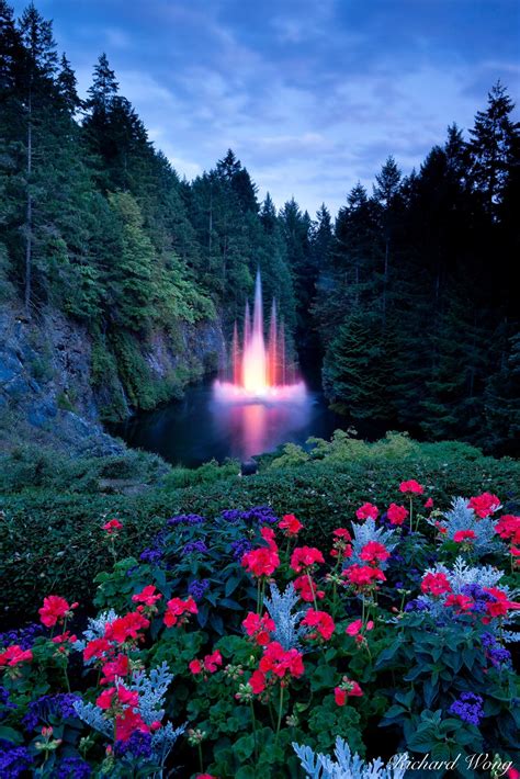Gardens of the night is similar to these films: Ross Fountain at Night | Vancouver Island, BC | Richard ...