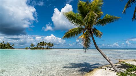 Tahiti lies in the south pacific. In a Year of Abrupt Transitions, a Trip to Tahiti. And ...