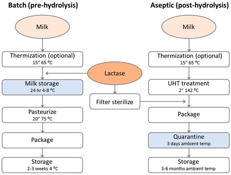 Cow Milk Production Process