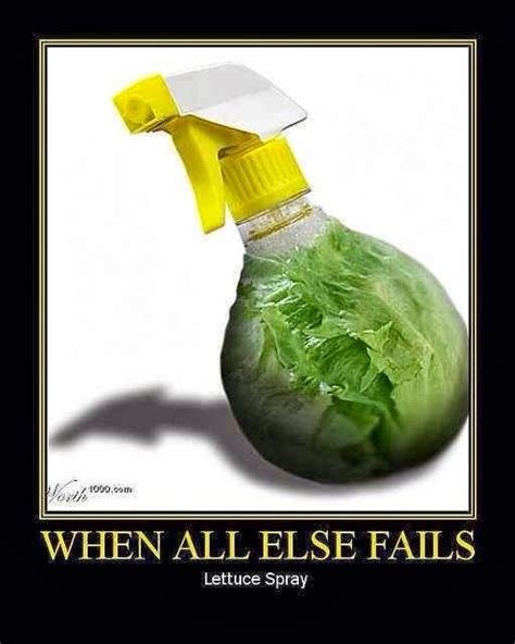 When All Else Fails Lettuce Spray Daily Vowel Movements