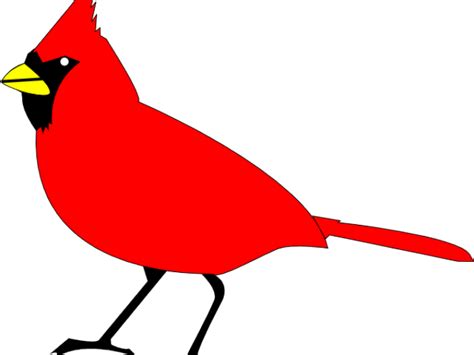 Blackbird Clipart Burung Cardinal Clipart Png Download Full Size