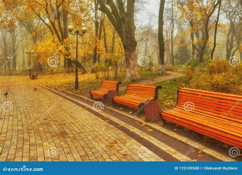 Bench In Autumn Season With Colorful Foliage And Trees Stock Photo