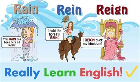 Rain Vs Rein Vs Reign What Is The Difference With Illustrations