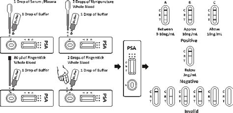 Psa Prostate Specific Antigen Rapid Test Biozek