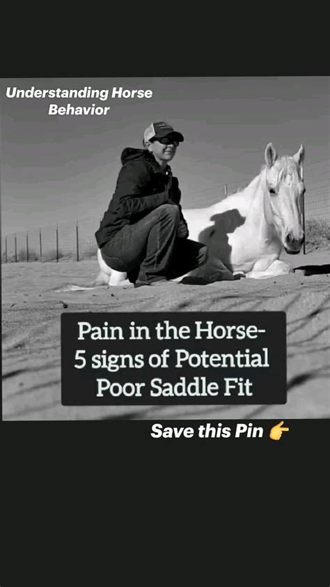5 Signs Of Potential Poor Saddle Fit Understanding Horse Behavior In