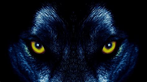 17 Amazing Wolf Eyes Wallpaper Wallpaper Box
